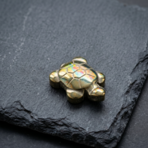 TOURTLE