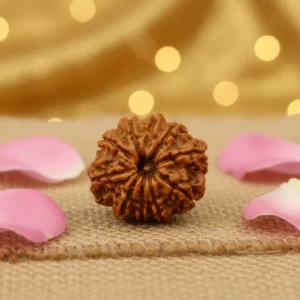 10 MUKHI RUDRAKSHA