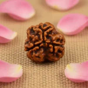 3 MUKHI RUDRAKSHA