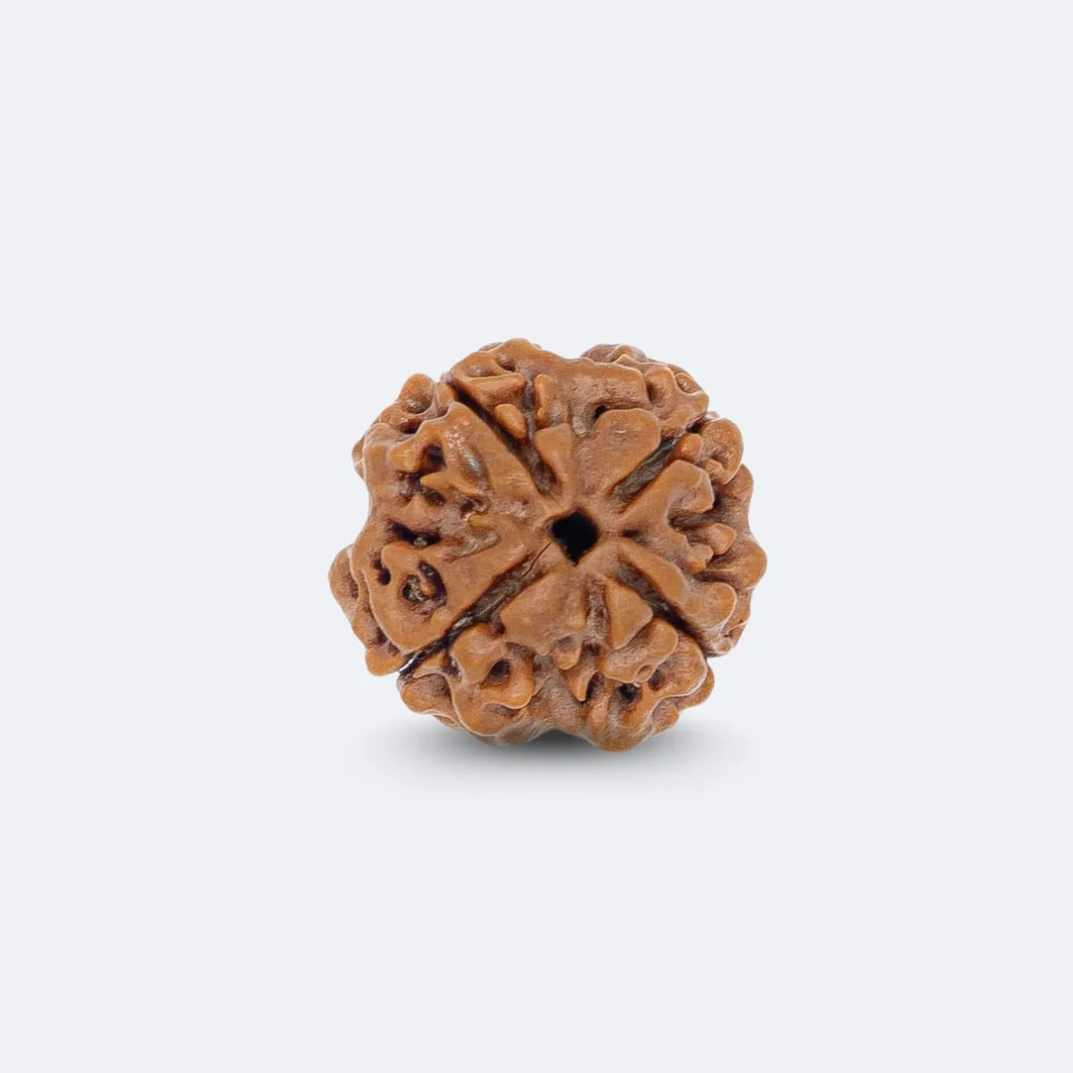 4 MUKHI RUDRAKSHA