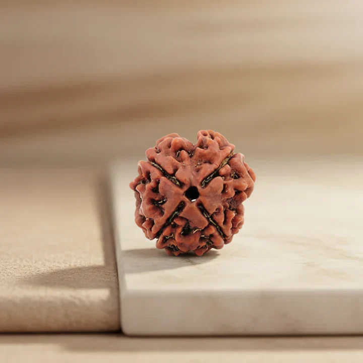 4 MUKHI RUDRAKSHA - Image 2