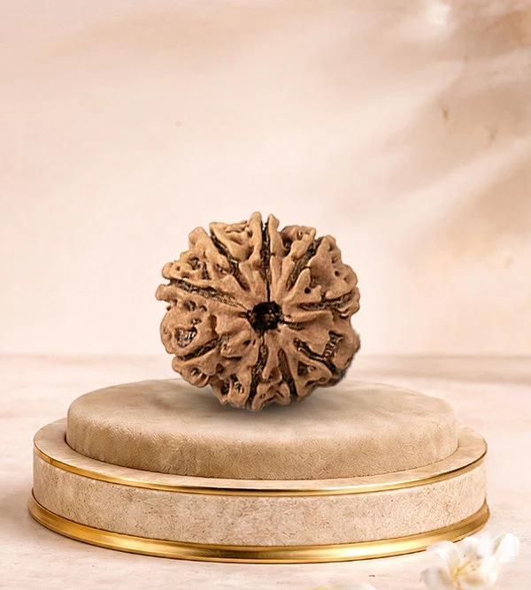9 MUKHI RUDRAKSHA
