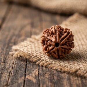 6 MUKHI RUDRAKSHA