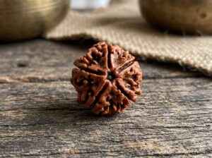 5 MUKHI RUDRAKSHA