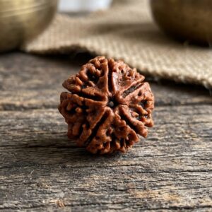5 MUKHI RUDRAKSHA
