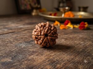 7 MUKHI RUDRAKSHA