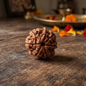 7 MUKHI RUDRAKSHA