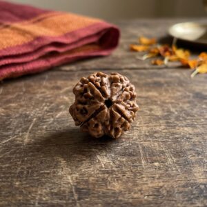 4 MUKHI RUDRAKSHA