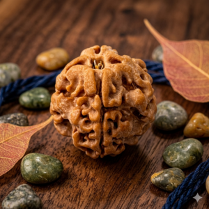 1 MUKHI RUDRAKSHA