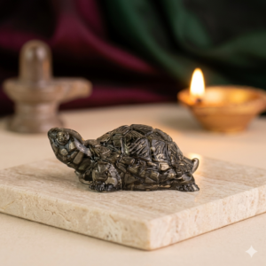 PYRITE TORTOISE
