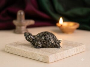 PYRITE TORTOISE