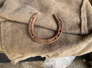 BLACK HORSE NAIL