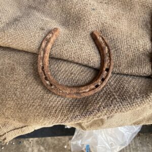 BLACK HORSE NAIL