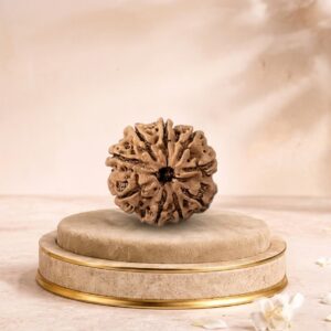 9 MUKHI RUDRAKSHA