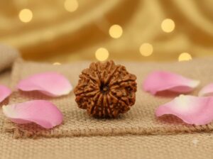 10 MUKHI RUDRAKSHA