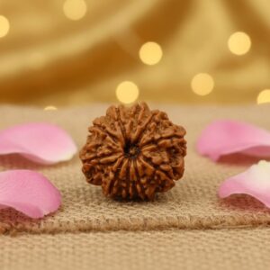 10 MUKHI RUDRAKSHA