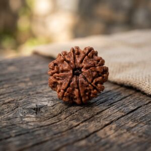 8 MUKHI RUDRAKSHA