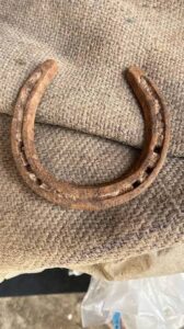 BLACK HORSE NAIL