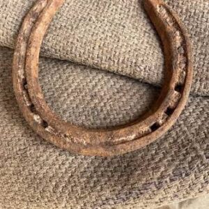 BLACK HORSE NAIL